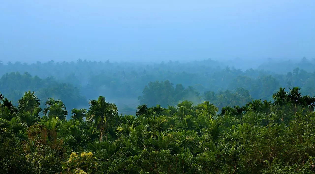 Yamunatheeram Payyannur Station touristique